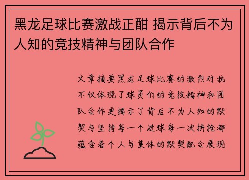 黑龙足球比赛激战正酣 揭示背后不为人知的竞技精神与团队合作