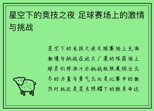 星空下的竞技之夜 足球赛场上的激情与挑战