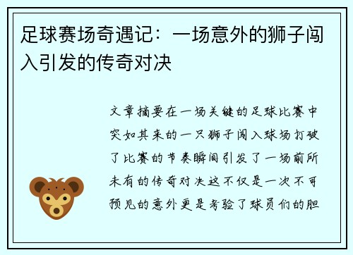 足球赛场奇遇记：一场意外的狮子闯入引发的传奇对决