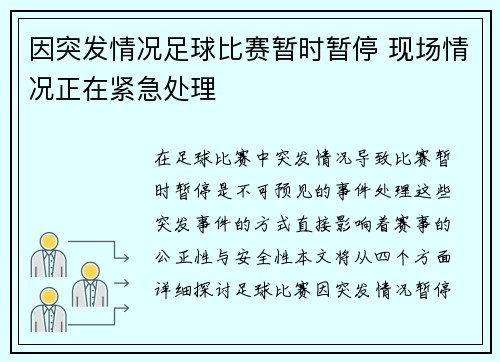 因突发情况足球比赛暂时暂停 现场情况正在紧急处理