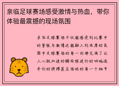 亲临足球赛场感受激情与热血，带你体验最震撼的现场氛围