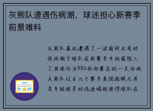 灰熊队遭遇伤病潮，球迷担心新赛季前景难料